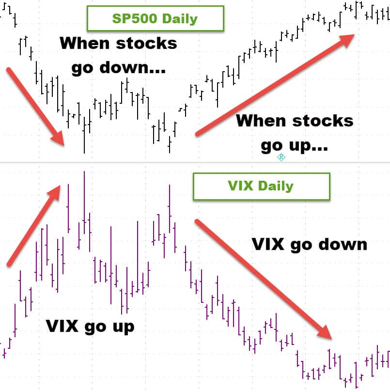 What stock volatility looks like.